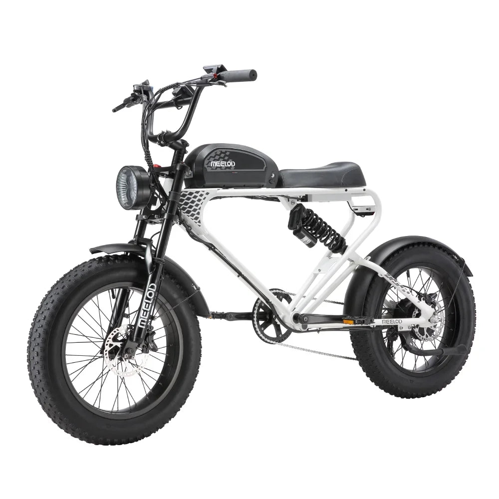 MEELOD DK300PLUS adult E-bike 1200W 48V 12.5Ah battery commute Electric Bike,20-inch Fat Tire E-Mountain bike