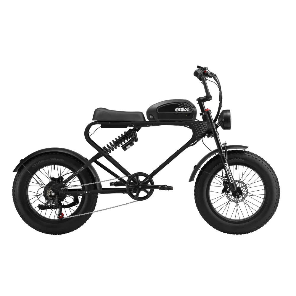 MEELOD DK300PLUS adult E-bike 1200W 48V 12.5Ah battery commute Electric Bike,20-inch Fat Tire E-Mountain bike